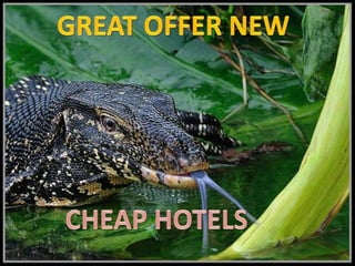 GREAT OFFER NEW CHEAP HOTELS 
