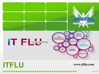 ITFLU www.itflu.com
 