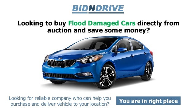 where can i buy damaged cars