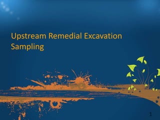 Upstream Remedial Excavation
Sampling




                               1
 