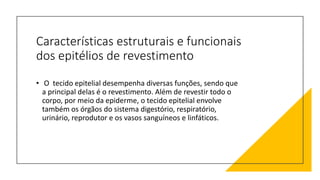 Características estruturais e funcionais
dos epitélios de revestimento
• O tecido epitelial desempenha diversas funções, sendo que
a principal delas é o revestimento. Além de revestir todo o
corpo, por meio da epiderme, o tecido epitelial envolve
também os órgãos do sistema digestório, respiratório,
urinário, reprodutor e os vasos sanguíneos e linfáticos.
 
