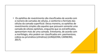 • Os epitélios de revestimento são classificados de acordo com
o número de camadas de células, e conforme o formato das
células da camada superficial. Dessa maneira, os epitélios de
revestimento simples são aqueles que possuem somente uma
camada de células epiteliais, enquanto que os estratificados,
apresentam mais de uma camada. Entretanto, de acordo com
a morfologia, eles podem ser classificados em: pavimentoso,
cúbico ou prismático (cilíndrico) (JUNQUEIRA; CARNEIRO,
2017).
 