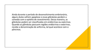 Ainda durante o período de desenvolvimento embrionário,
alguns dutos sofrem apoptose e essas glândulas perdem a
conexão com o epitélio de revestimento. Dessa maneira, as
glândulas podem ser classificadas em endócrinas ou exócrinas.
Quando as glândulas possuem regiões endócrinas e exócrinas,
recebe a denominação de anfícrina, tal qual acontece com o
pâncreas.
 