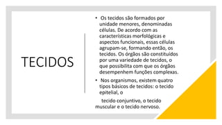 TECIDOS
• Os tecidos são formados por
unidade menores, denominadas
células. De acordo com as
características morfológicas e
aspectos funcionais, essas células
agrupam-se, formando então, os
tecidos. Os órgãos são constituídos
por uma variedade de tecidos, o
que possibilita com que os órgãos
desempenhem funções complexas.
• Nos organismos, existem quatro
tipos básicos de tecidos: o tecido
epitelial, o
tecido conjuntivo, o tecido
muscular e o tecido nervoso.
 