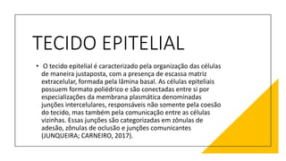 TECIDO EPITELIAL
• O tecido epitelial é caracterizado pela organização das células
de maneira justaposta, com a presença de escassa matriz
extracelular, formada pela lâmina basal. As células epiteliais
possuem formato poliédrico e são conectadas entre si por
especializações da membrana plasmática denominadas
junções intercelulares, responsáveis não somente pela coesão
do tecido, mas também pela comunicação entre as células
vizinhas. Essas junções são categorizadas em zônulas de
adesão, zônulas de oclusão e junções comunicantes
(JUNQUEIRA; CARNEIRO, 2017).
 