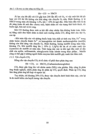 Cấu trúc và chức năng của hồng cầu