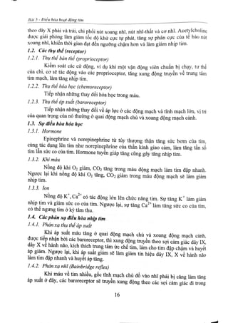 Điều hòa hoạt động của tim