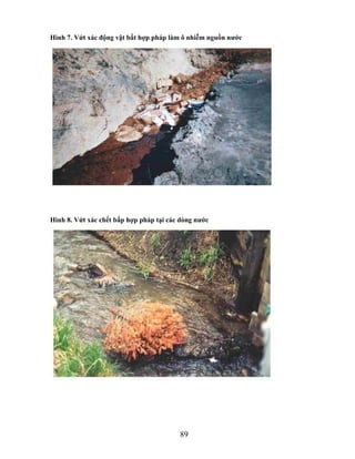 Hình 7. Vứt xác động vật bất hợp pháp làm ô nhiễm nguồn nƣớc




Hình 8. Vứt xác chết bấp hợp pháp tại các dòng nƣớc




                                         89
 