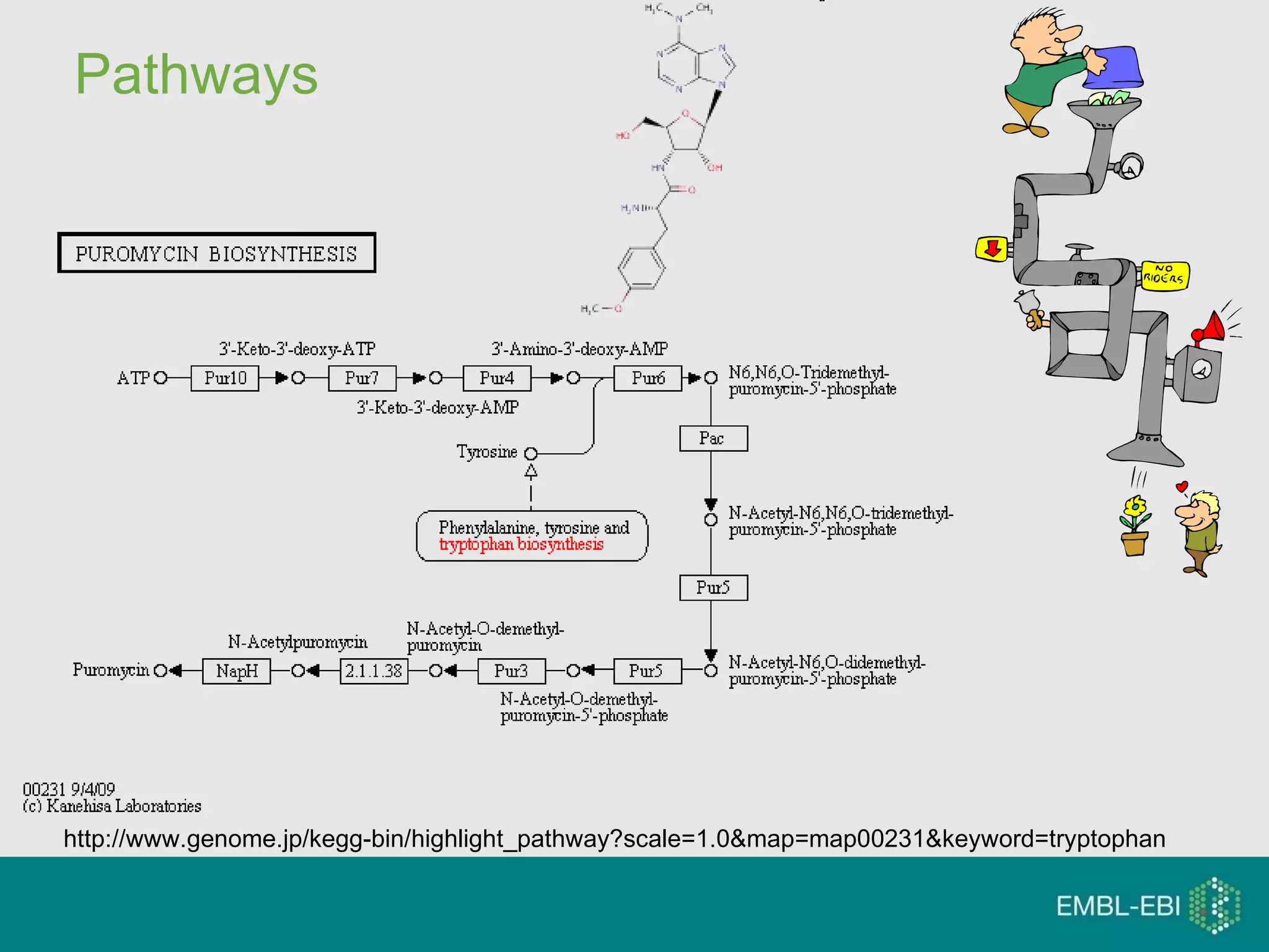 Pathways http://www.genome.jp/kegg-bin/highlight_pathway?scale=1.0&map=map00231&keyword=tryptophan 