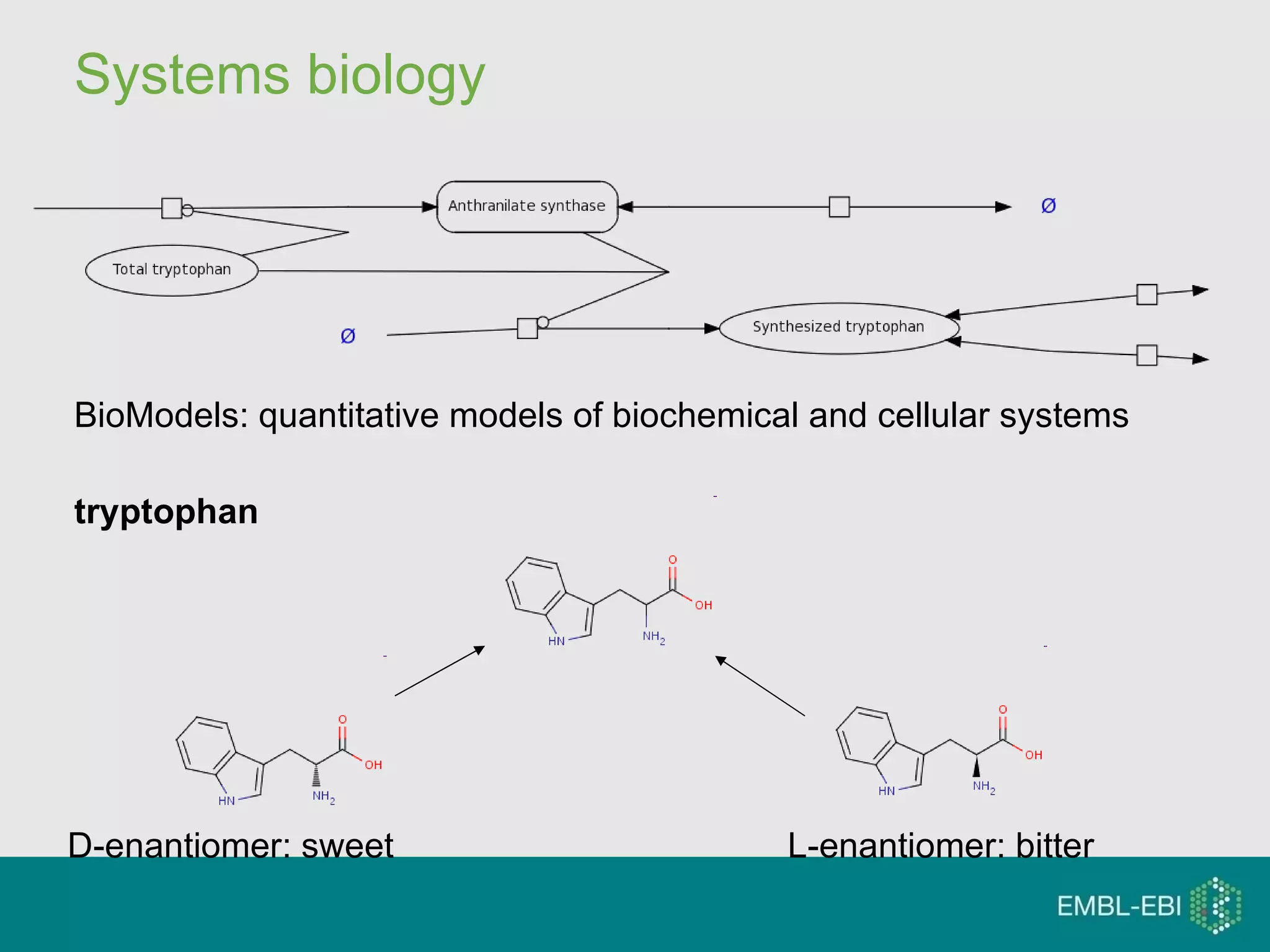 Systems biology BioModels: quantitative models of biochemical and cellular systems tryptophan D-enantiomer: sweet L-enantiomer: bitter 