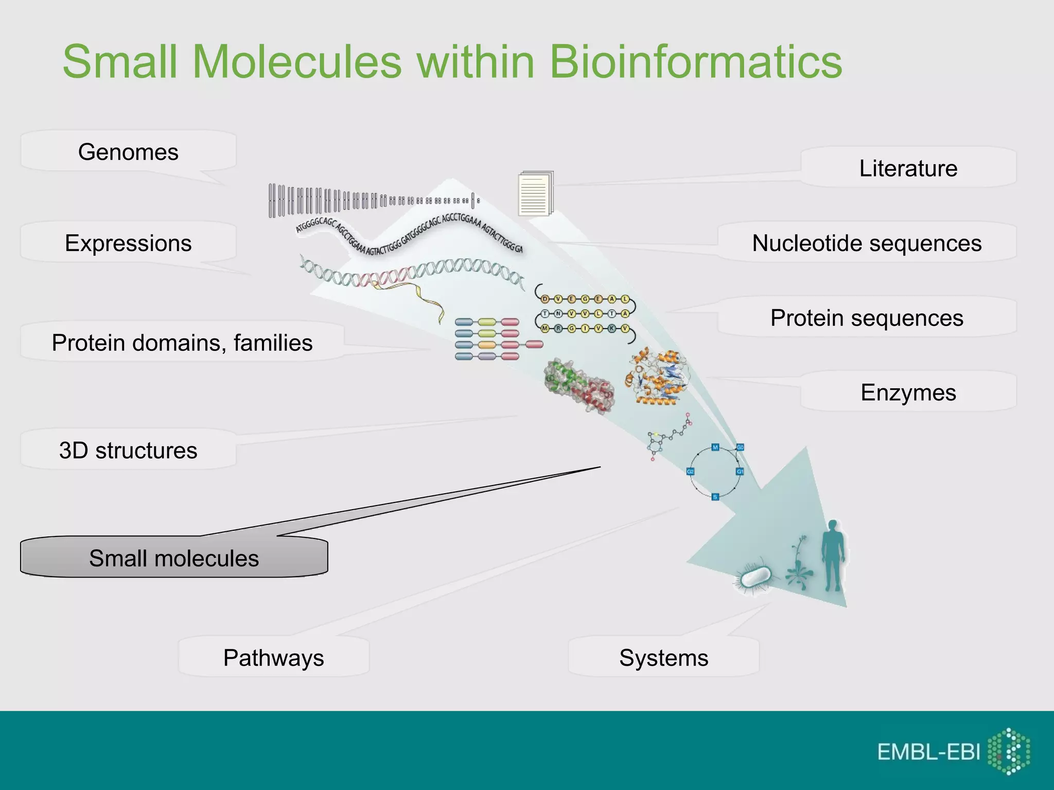 Small Molecules within Bioinformatics Literature Nucleotide sequences Genomes Expressions Protein sequences Protein domains, families 3D structures Enzymes Small molecules Pathways Systems 