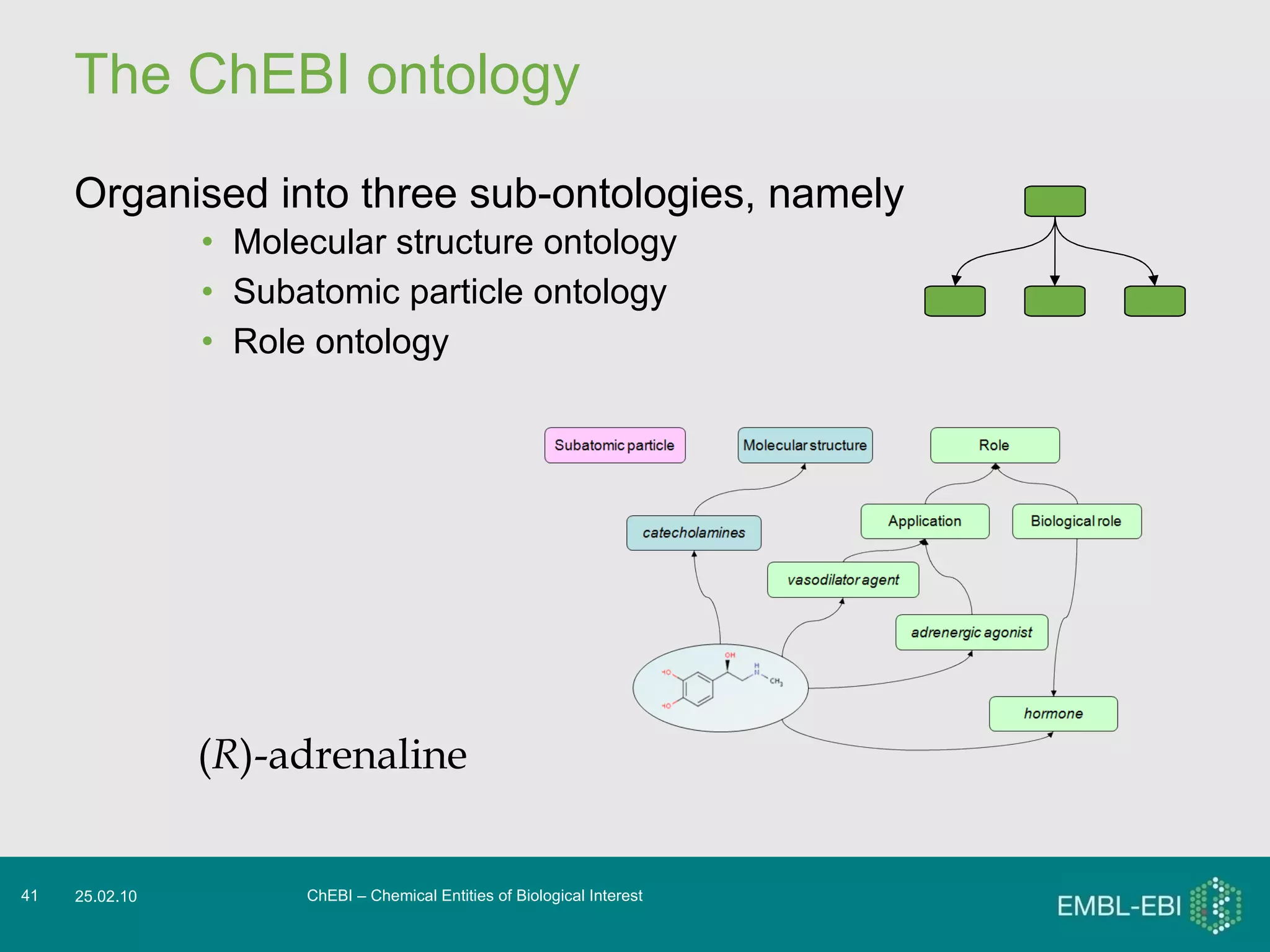 The ChEBI ontology Organised into three sub-ontologies, namely Molecular structure ontology Subatomic particle ontology Role ontology ChEBI – Chemical Entities of Biological Interest 25.02.10 ( R ) -adrenaline 