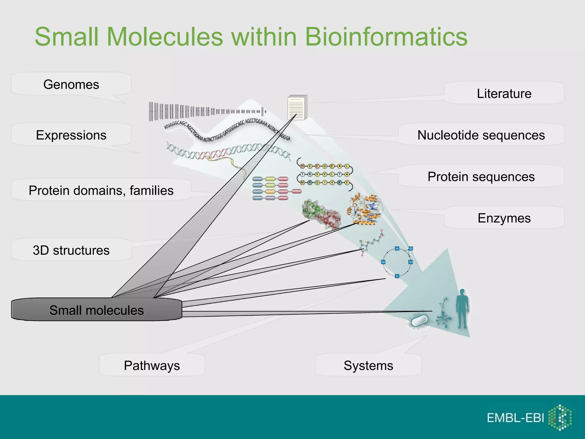 Literature Nucleotide sequences Genomes Expressions Protein sequences Protein domains, families 3D structures Enzymes Small molecules Pathways Systems Small Molecules within Bioinformatics Small molecules Small molecules Small molecules Small molecules Small molecules 