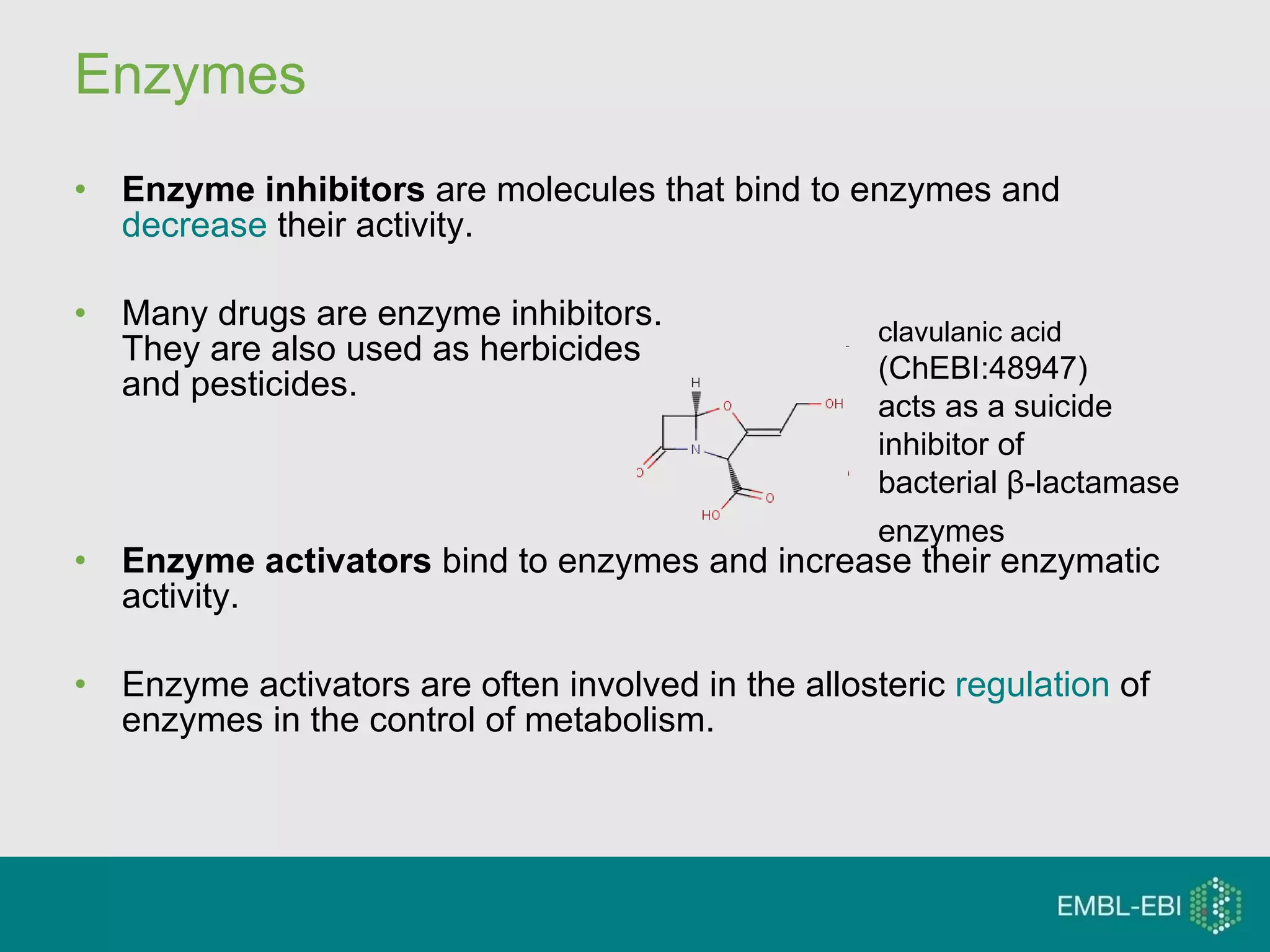 Enzymes Enzyme inhibitors  are molecules that bind to enzymes and  decrease  their activity.  Many drugs are enzyme inhibitors.  They are also used as herbicides  and pesticides.  Enzyme activators  bind to enzymes and increase their enzymatic activity.  Enzyme activators are often involved in the allosteric  regulation  of enzymes in the control of metabolism.  clavulanic acid  (ChEBI:48947) acts as a suicide  inhibitor of  bacterial β-lactamase  enzymes   