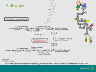 Pathways http://www.genome.jp/kegg-bin/highlight_pathway?scale=1.0&map=map00231&keyword=tryptophan 