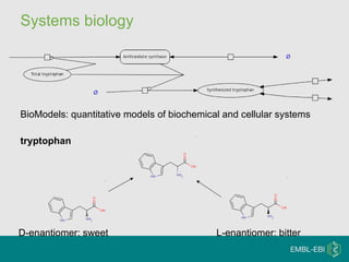Systems biology BioModels: quantitative models of biochemical and cellular systems tryptophan D-enantiomer: sweet L-enantiomer: bitter 