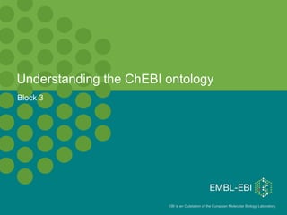 Understanding the ChEBI ontology Block 3 