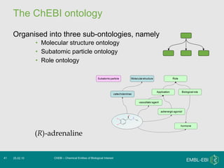 The ChEBI ontology Organised into three sub-ontologies, namely Molecular structure ontology Subatomic particle ontology Role ontology ChEBI – Chemical Entities of Biological Interest 25.02.10 ( R ) -adrenaline 