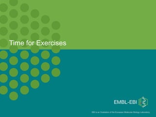Time for Exercises 