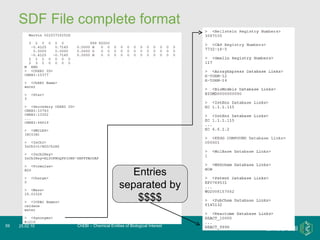 SDF File complete format ChEBI – Chemical Entities of Biological Interest 25.02.10 Entries separated by $$$$ 
