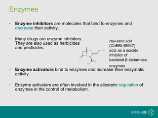 Enzymes Enzyme inhibitors  are molecules that bind to enzymes and  decrease  their activity.  Many drugs are enzyme inhibitors.  They are also used as herbicides  and pesticides.  Enzyme activators  bind to enzymes and increase their enzymatic activity.  Enzyme activators are often involved in the allosteric  regulation  of enzymes in the control of metabolism.  clavulanic acid  (ChEBI:48947) acts as a suicide  inhibitor of  bacterial β-lactamase  enzymes   