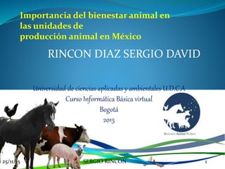 RINCON DIAZ SERGIO DAVID
Importancia del bienestar animal en
las unidades de
producción animal en México
25/11/15 SERGIO RINCON 1
Universidad de ciencias aplicadas y ambientales U.D.C.A
Curso Informática Básica virtual
Bogotá
2015
 
