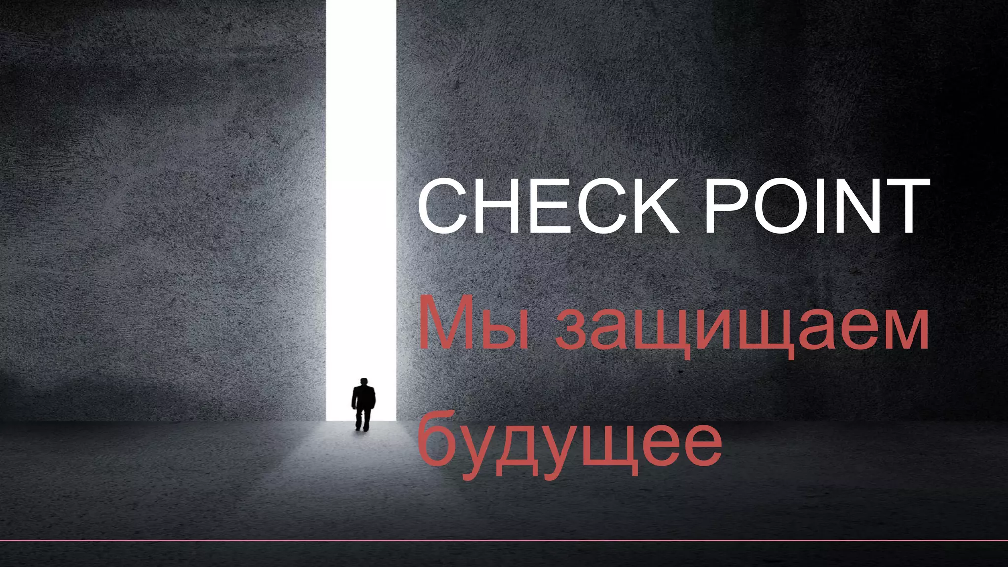 CHECK POINT
Мы защищаем
будущее
 