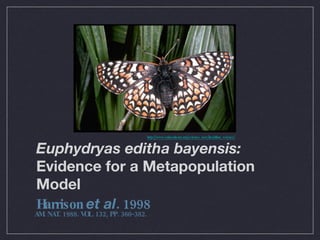 Euphydryas editha bayensis:  Evidence for a Metapopulation Model ,[object Object],http://www.calacademy.org/science_now/headline_science/ AM. NAT. 1988. VOL. 132, PP. 360-382. 