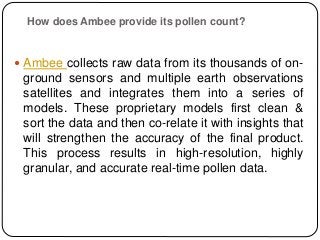 Checking Pollen Count Today? Here’s Everything to Know About Pollen ...