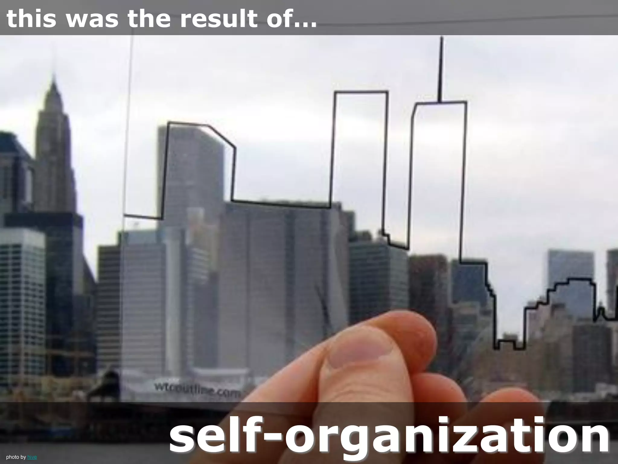 self-organization
this was the result of…
photo by hive
 