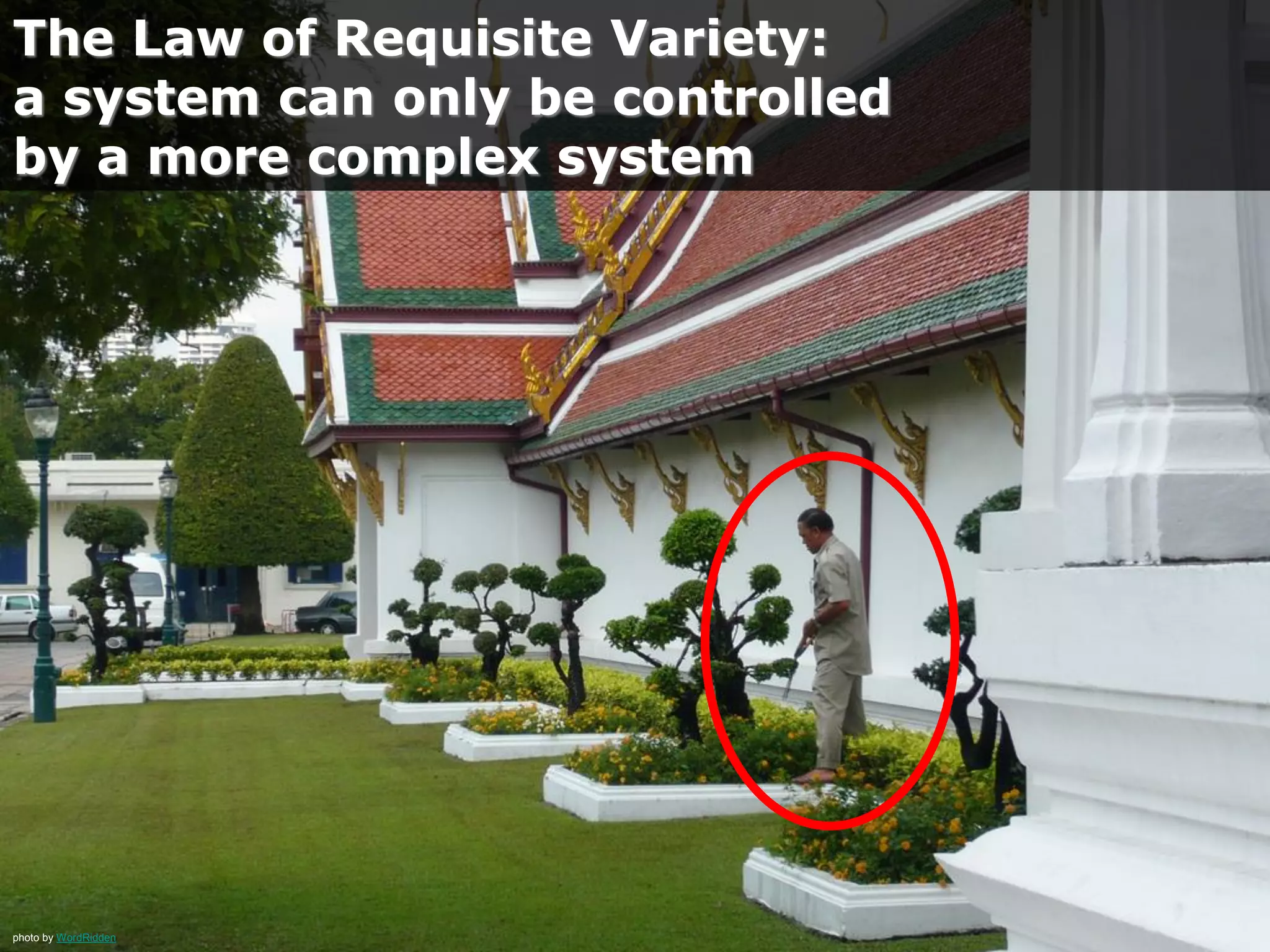 photo by WordRidden
The Law of Requisite Variety:
a system can only be controlled
by a more complex system
 