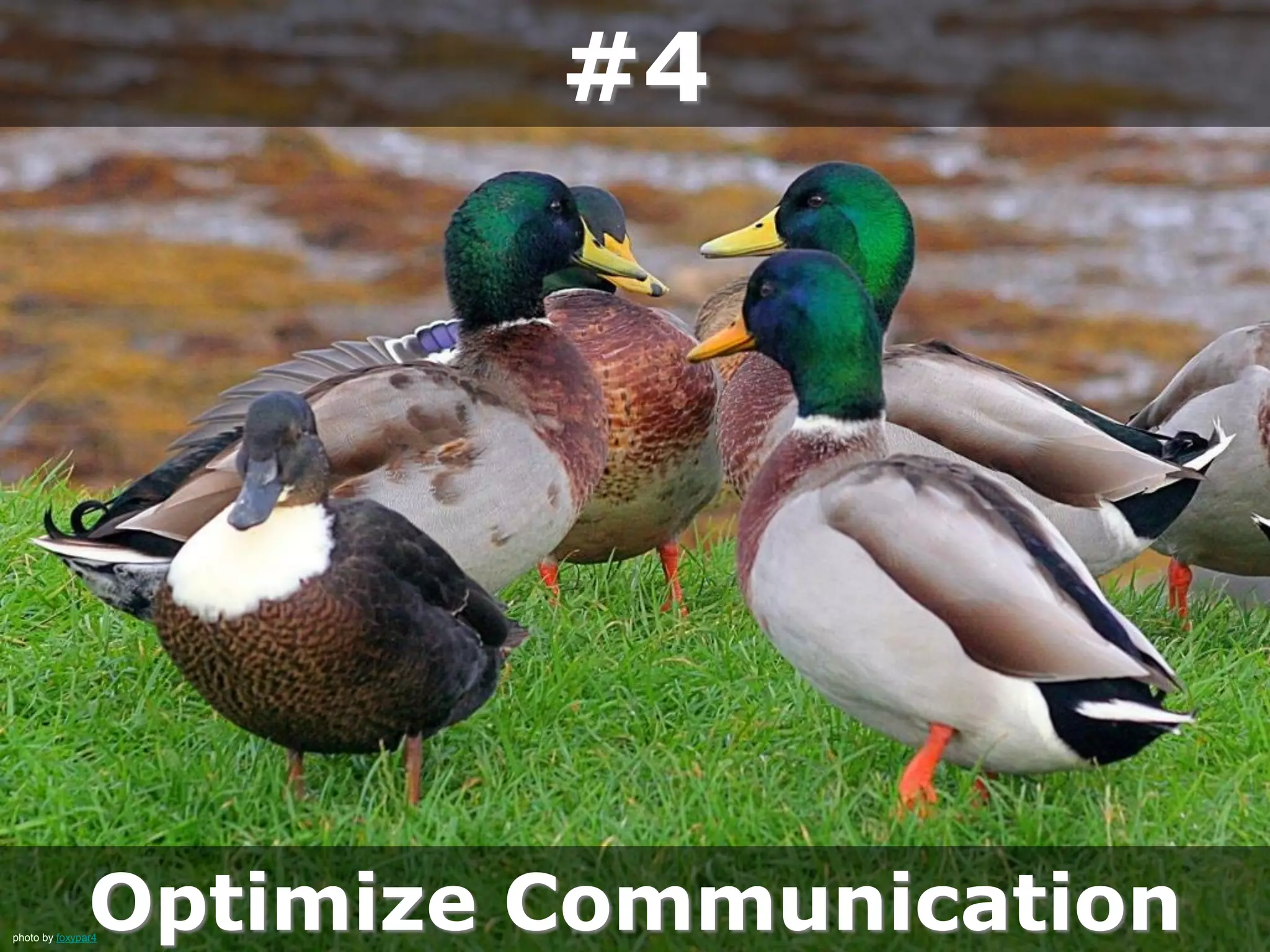 Optimize Communication
#4
photo by foxypar4
 