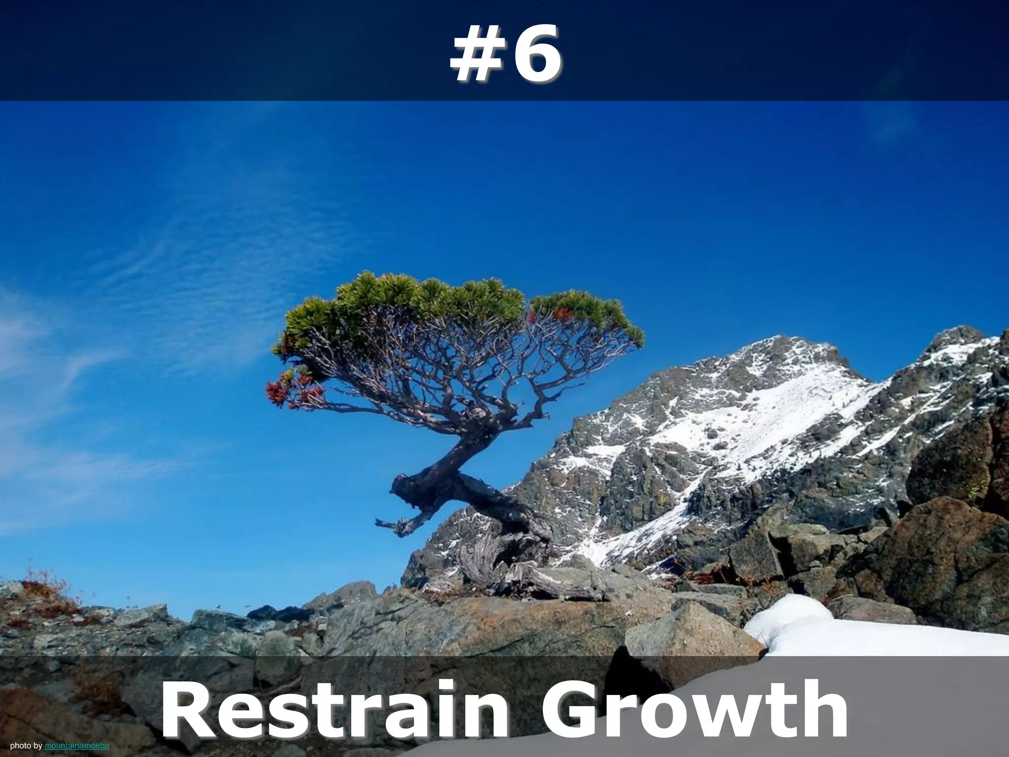 #6
Restrain Growthphoto by mountainamoeba
 