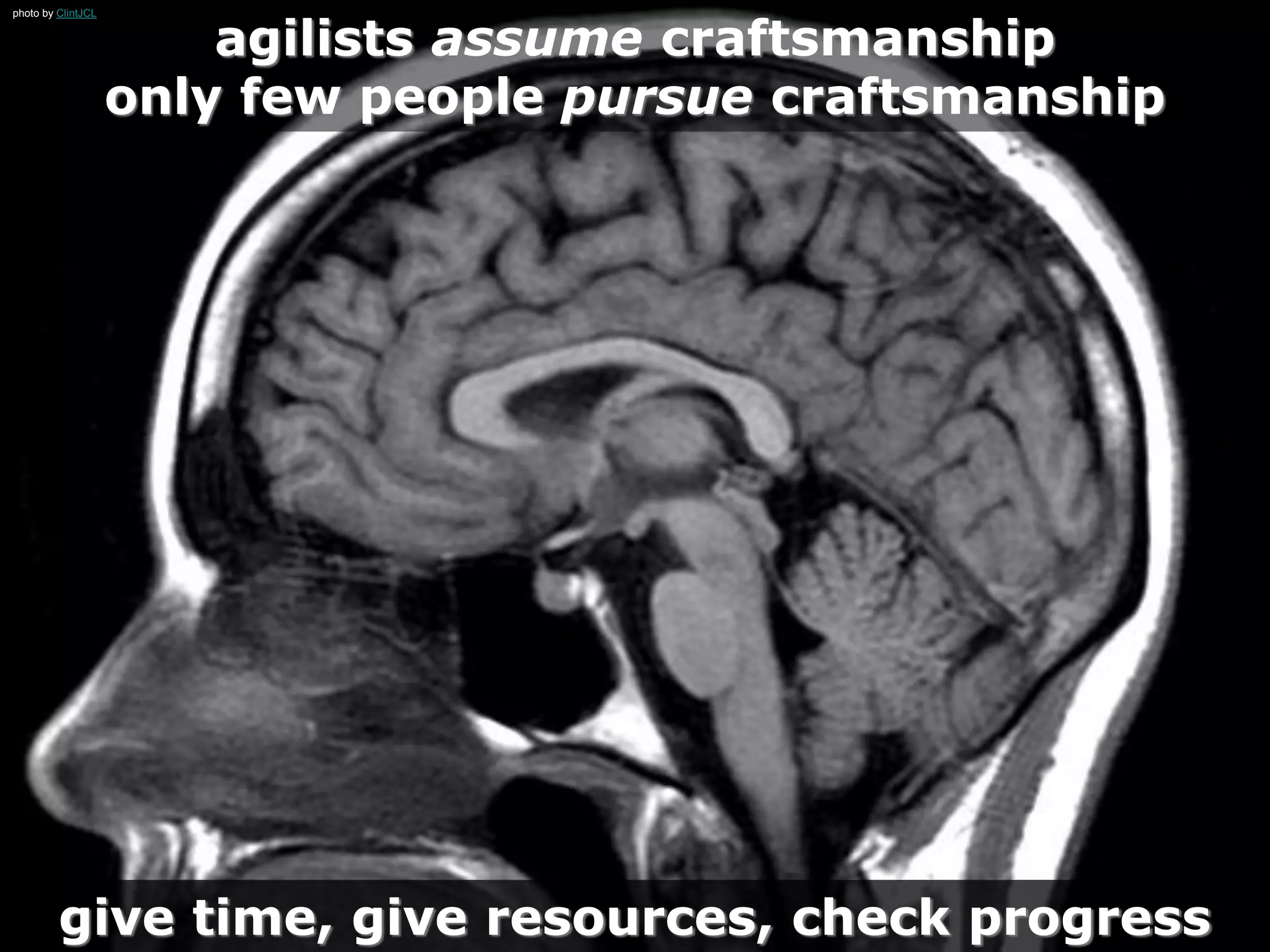 give time, give resources, check progress
agilists assume craftsmanship
only few people pursue craftsmanship
photo by ClintJCL
 