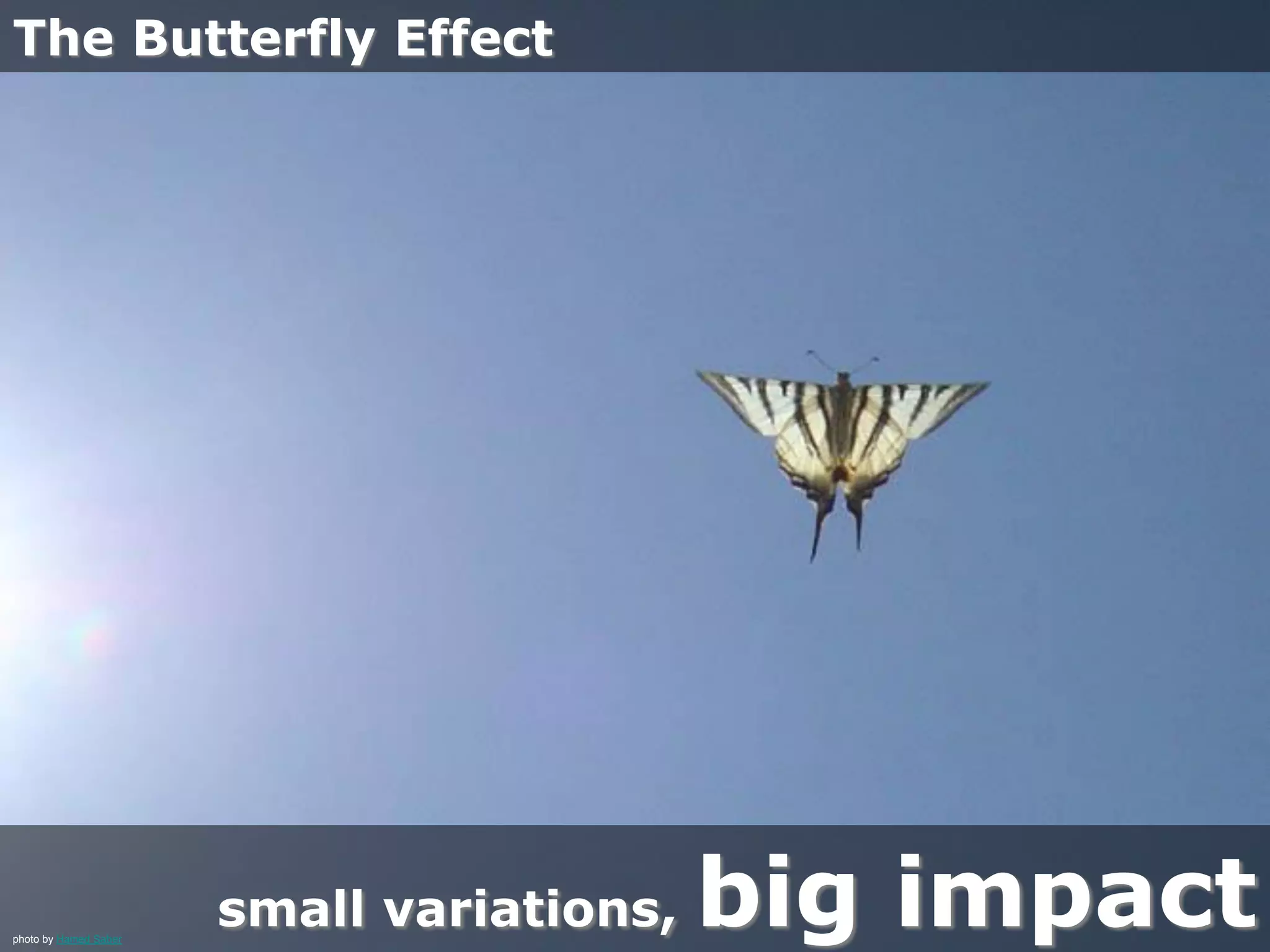 The Butterfly Effect
small variations, big impactphoto by Hamed Saber
 