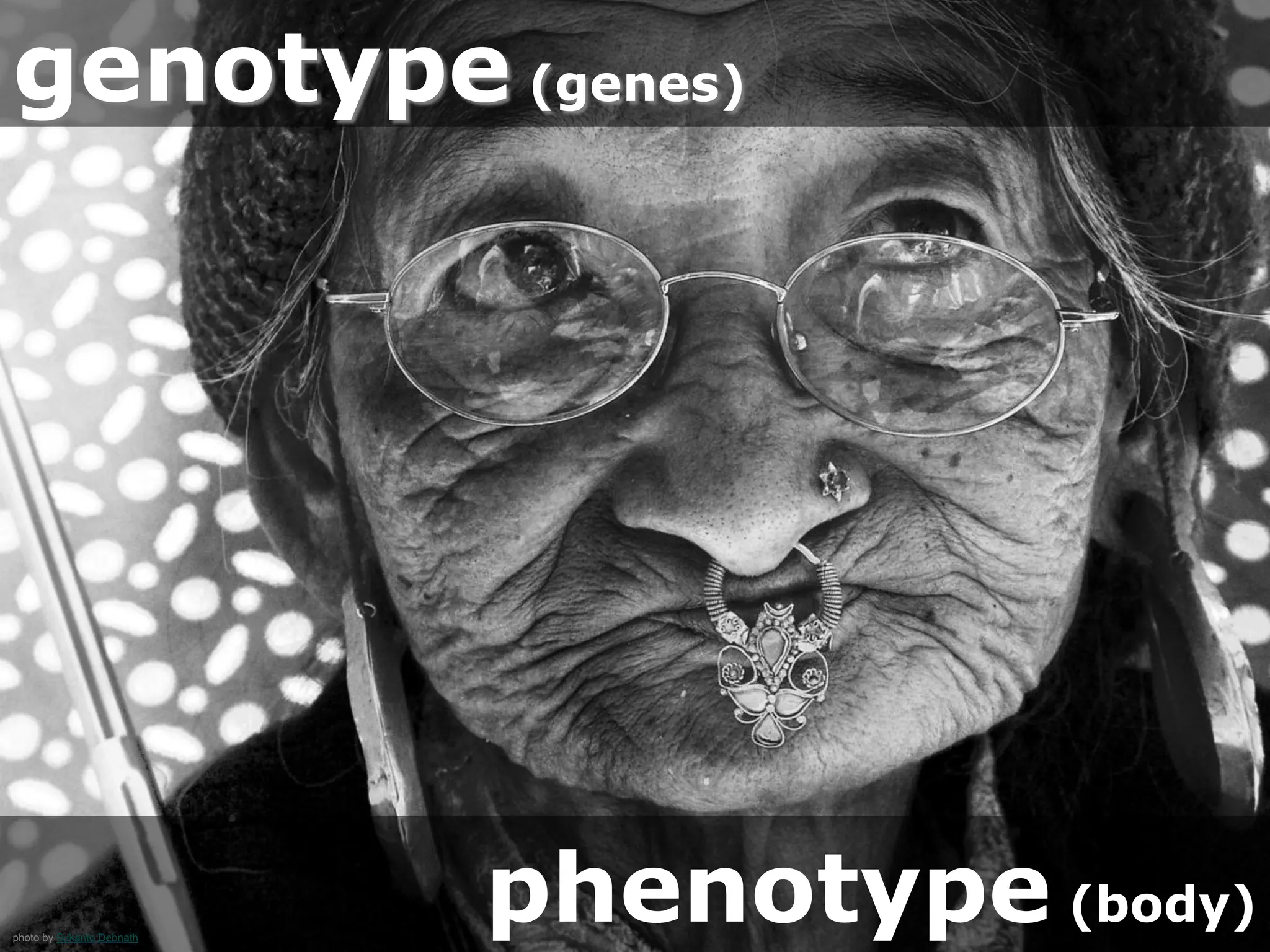 photo by Sukanto Debnath
genotype (genes)
phenotype (body)
 