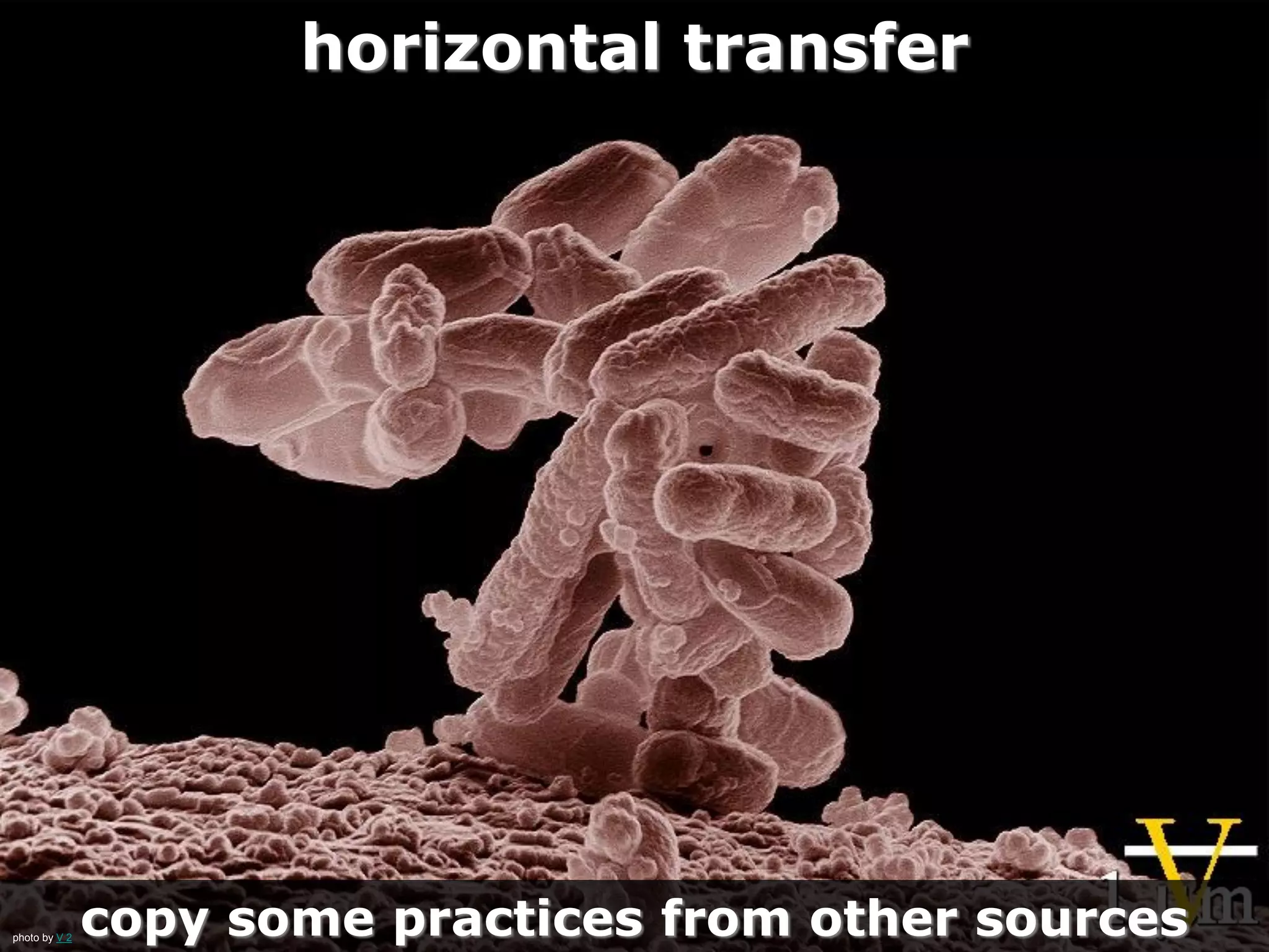 horizontal transfer
copy some practices from other sourcesphoto by V 2
 