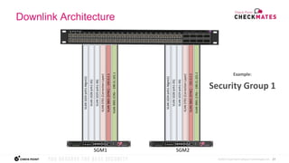 Check Mates Maestro under the hood 2022.pptx