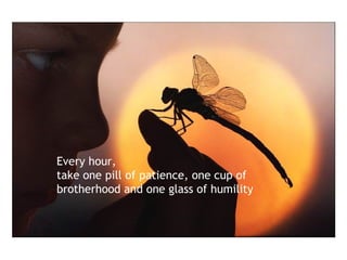 Every hour, take one pill of patience, one cup of brotherhood and one glass of humility 