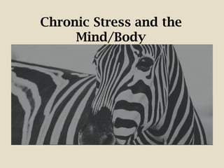 Chronic Stress and the
Mind/Body
 