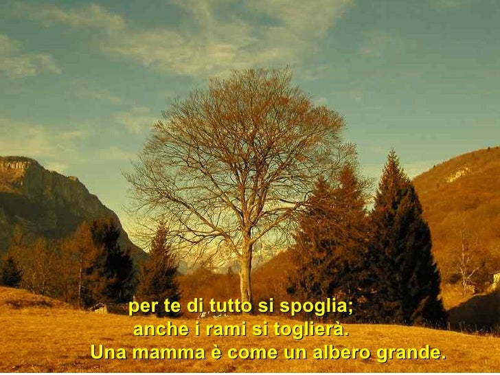 Che cos'è una mamma