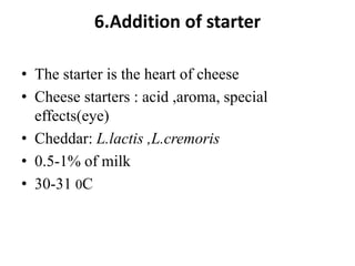 6.Addition of starter
• The starter is the heart of cheese
• Cheese starters : acid ,aroma, special
effects(eye)
• Cheddar: L.lactis ,L.cremoris
• 0.5-1% of milk
• 30-31 0C
 