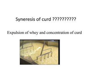 Syneresis of curd ??????????
Expulsion of whey and concentration of curd
 