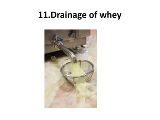 11.Drainage of whey
 