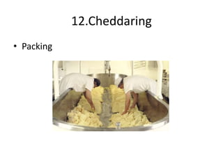 12.Cheddaring
• Packing
 
