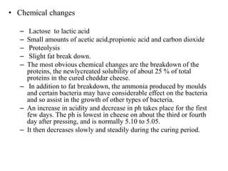• Chemical changes
– Lactose to lactic acid
– Small amounts of acetic acid,propionic acid and carbon dioxide
– Proteolysis
– Slight fat break down.
– The most obvious chemical changes are the breakdown of the
proteins, the newlycreated solubility of about 25 % of total
proteins in the cured cheddar cheese.
– In addition to fat breakdown, the ammonia produced by moulds
and certain bacteria may have considerable effect on the bacteria
and so assist in the growth of other types of bacteria.
– An increase in acidity and decrease in ph takes place for the first
few days. The ph is lowest in cheese on about the third or fourth
day after pressing, and is normally 5.10 to 5.05.
– It then decreases slowly and steadily during the curing period.
 