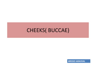 CHEEKS( BUCCAE)
BRISSO ARACKAL
 