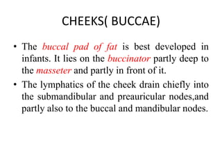CHEEKS( BUCCAE)
• The buccal pad of fat is best developed in
infants. It lies on the buccinator partly deep to
the masseter and partly in front of it.
• The lymphatics of the cheek drain chiefly into
the submandibular and preauricular nodes,and
partly also to the buccal and mandibular nodes.
 