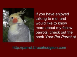 If you have enjoyed
            talking to me, and
            would like to know
            more about my fellow
            parrots, check out the
            book Your Pet Parrot at

http://parrot.brucehodgson.com
 