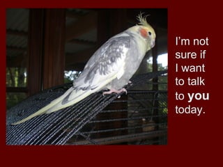 I’m not
sure if
I want
to talk
to you
today.
 